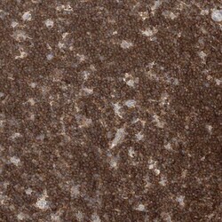 MCPIP1/ZC3H12A Antibody, Novus Biologicals 0.1mL; Unlabeled:Antibodies,